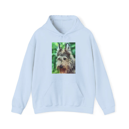 Berger Picard 50/50 Hoodie: A Warm Embrace