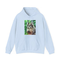 Berger Picard 50/50 Hoodie: A Warm Embrace