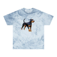 Deutscher Jagdterrier - Unisex Color Blast T-Shirt