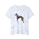 Greyhound Unisex Fashion Tie-Dyed T-Shirt