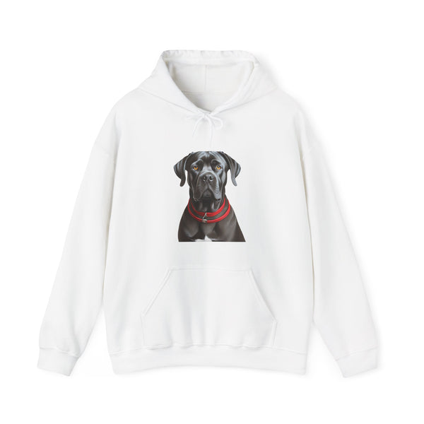 Cane Corso Unisex Cozy Companion Hoodie