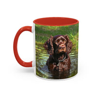 Boykin Spaniel -- Accent Coffee Mug --2 Sizes