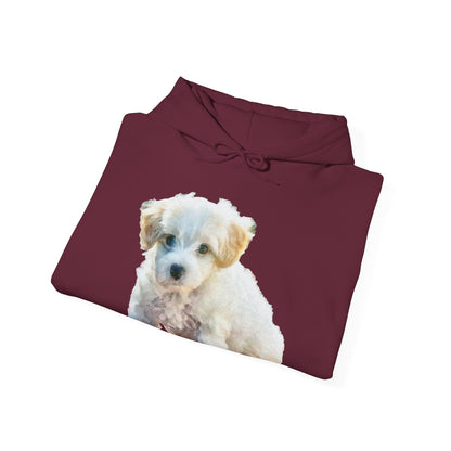 Bichon Frise Unisex 50/50 Hoodie