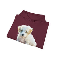 Bichon Frise Unisex 50/50 Hoodie