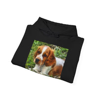 Welsh Springer Spaniel Unisex 50/50 Hoodie