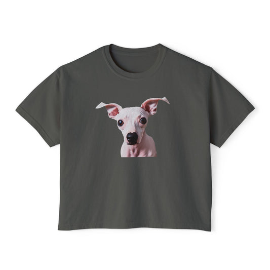 American Hairless Terrier Women's Oversized Boxy Tee