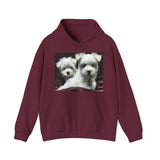 Maltese - Unisex 50/50 Hoodie