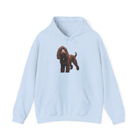 Irish Water Spaniel Unisex 50/50 Hooded Sweatshirt