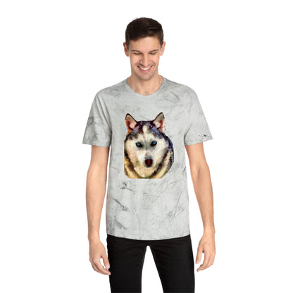 Siberian Husky 'Sacha' Unisex Cotton Color Blast T-Shirt