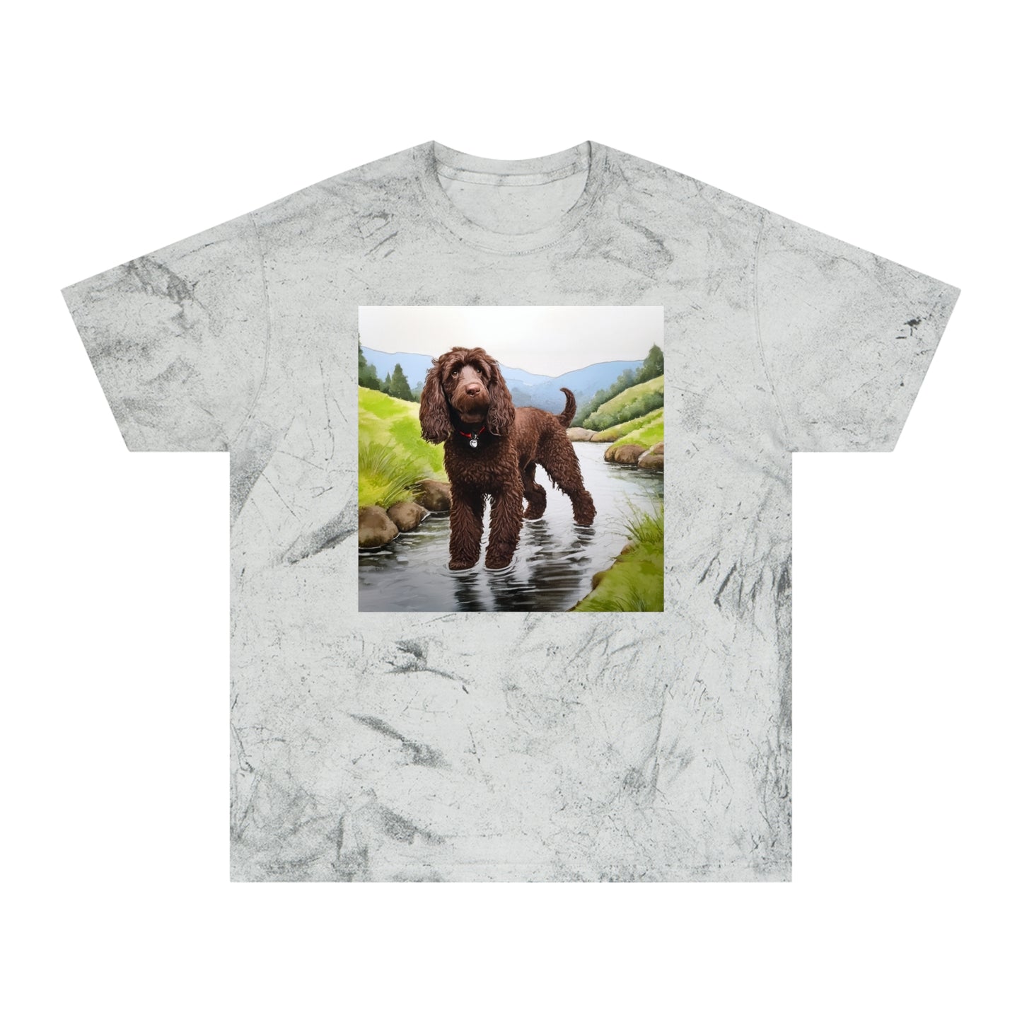 Irish Water Spaniel Unisex Color Blast T-Shirt