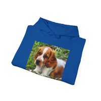 Welsh Springer Spaniel Unisex 50/50 Hoodie