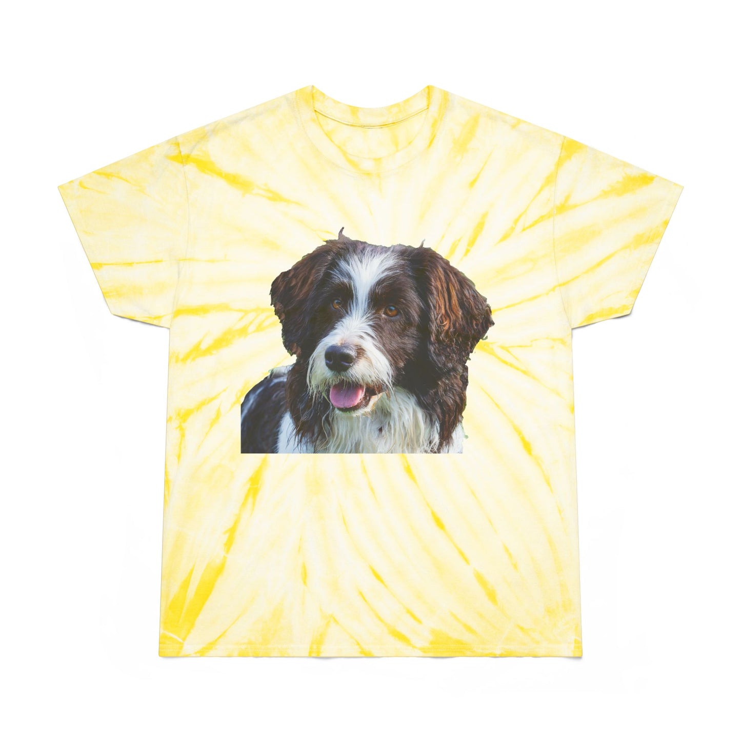 Drentsche Patrijshond Classic Tie-Dye Tee, Cyclone