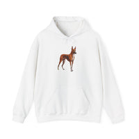 Azawakh -  Unisex 50/50 Hooded Sweatshirt