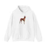 Azawakh -  Unisex 50/50 Hooded Sweatshirt