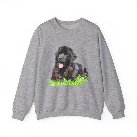Newfoundland 'Madden' Unisex 50/50 Crewneck Sweatshirt