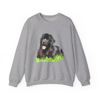 Newfoundland 'Madden' Unisex 50/50 Crewneck Sweatshirt