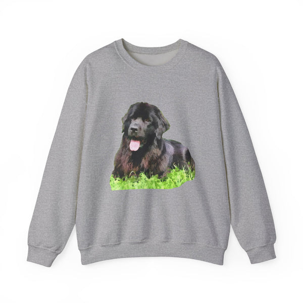 Newfoundland 'Madden' Unisex 50/50 Crewneck Sweatshirt