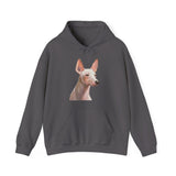 Xoloitzcuintli 'Mexican Hairless' 50/50 Hooded Sweatshirt