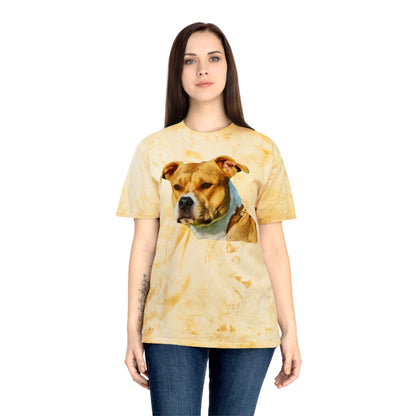 Pit Bull 'Herculese' Unisex Cotton Color Blast T-Shirt