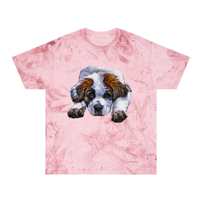 Saint Bernard 'Sontuc' Unisex Cotton Color Blast T-Shirt