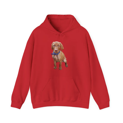 Hungarian Vizsla 'Augie' Unisex 50/50 Hoodie