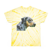 Catahoula 'Clancy' - Unisex Tie-Dye Tee, Cyclone