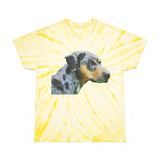 Catahoula 'Clancy' - Unisex Tie-Dye Tee, Cyclone