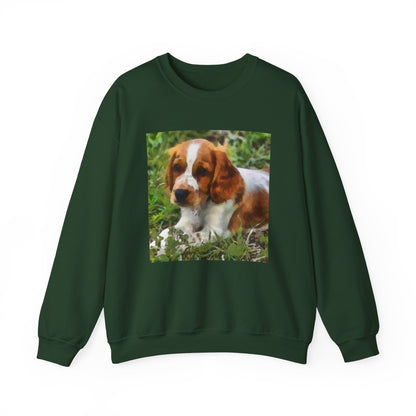 Welsh Springer Spaniel Unisex 50/50  Crewneck Sweatshirt