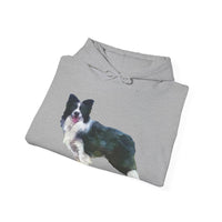 Border Collie 'Andrew' Unisex 50/50 Hooded Sweatshirt