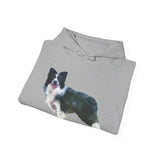Border Collie 'Andrew' Unisex 50/50 Hooded Sweatshirt