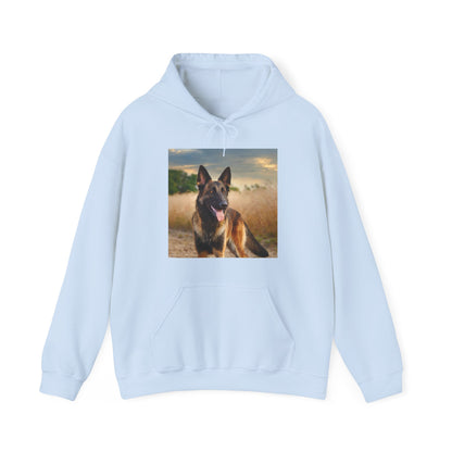 Regal Blend 50/50 Hooded Sweatshirt