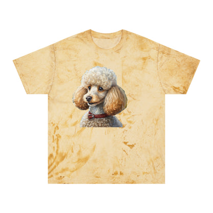 Standard Poodle #2 - Classic Color Blast T-Shirt