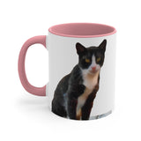 Cat from Hydra - Accent Coffee Mug, 11oz
