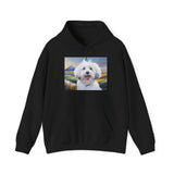 Coton de Tulear  --  Unisex 50/50  Hooded Sweatshirt