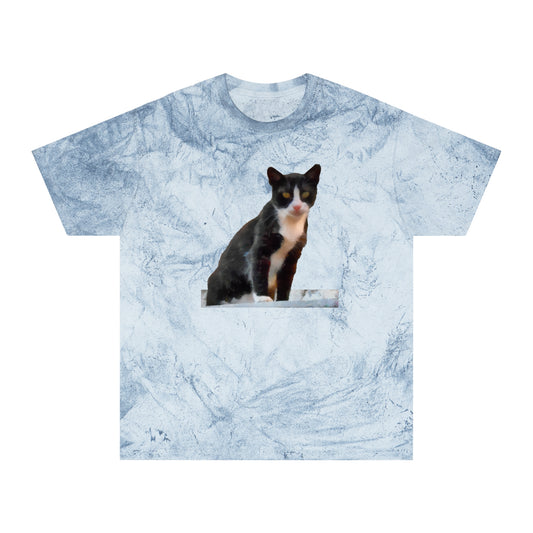 Cats of  Hydra  Greece Unisex Cotton  -  Color Blast T-Shirt