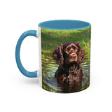 Boykin Spaniel - Ceramic Accent Coffee Mug - 2 Sizes