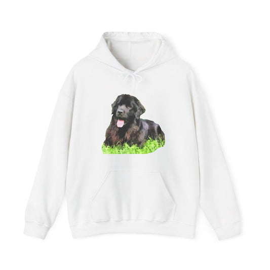 Newfoundland 'Madden' Unisex 50/50 Hoodie