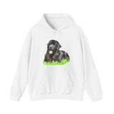 Newfoundland 'Madden' Unisex 50/50 Hoodie
