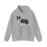 Border Collie '#1' Unisex 50/50 Hoodie