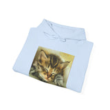 Sleepy Brucie the Cat - Classic 50/50 Hoodie