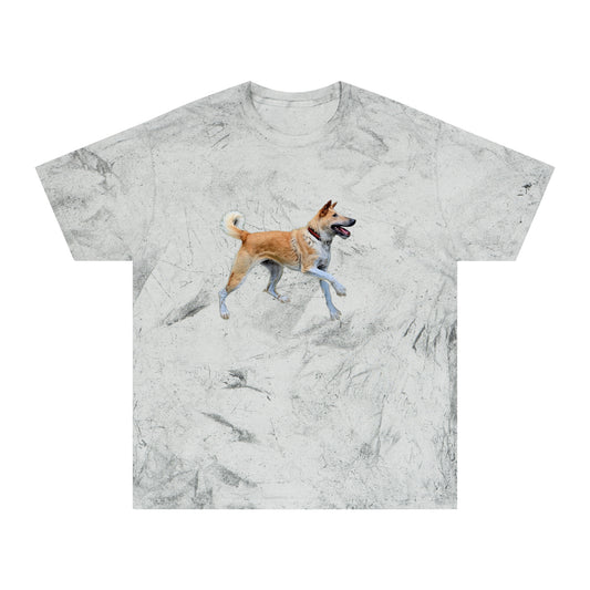 Korean Jindo Unisex Color Blast T-Shirt
