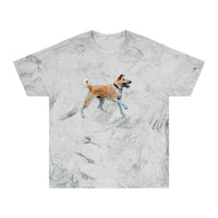 Korean Jindo Unisex Color Blast T-Shirt