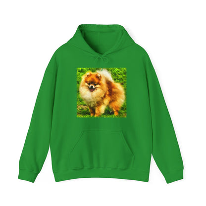 Pomeranian 'Pom Pom' Unisex 50/50 Hoodie