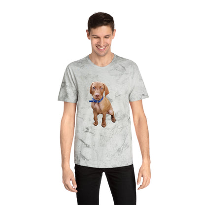Vizsla 'Augie' Unisex Cotton Color Blast T-Shirt
