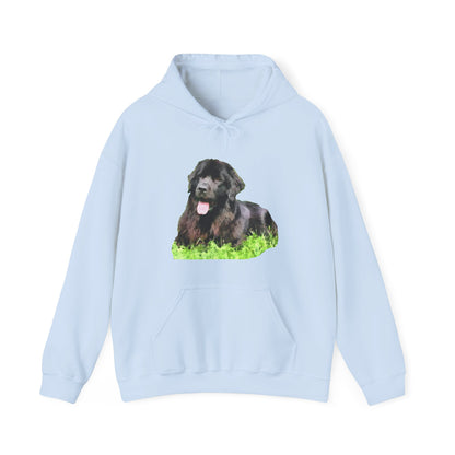 Newfoundland 'Madden' Unisex 50/50 Hoodie