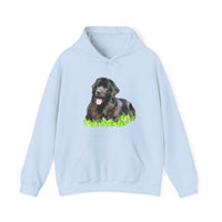 Newfoundland 'Madden' Unisex 50/50 Hoodie