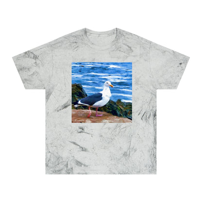Bodega Seagull - Unisex Cotton Color Blast T-Shirt