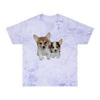 Welsh Corgi 'Cousins' Color Blast T-Shirt by DoggyLips™