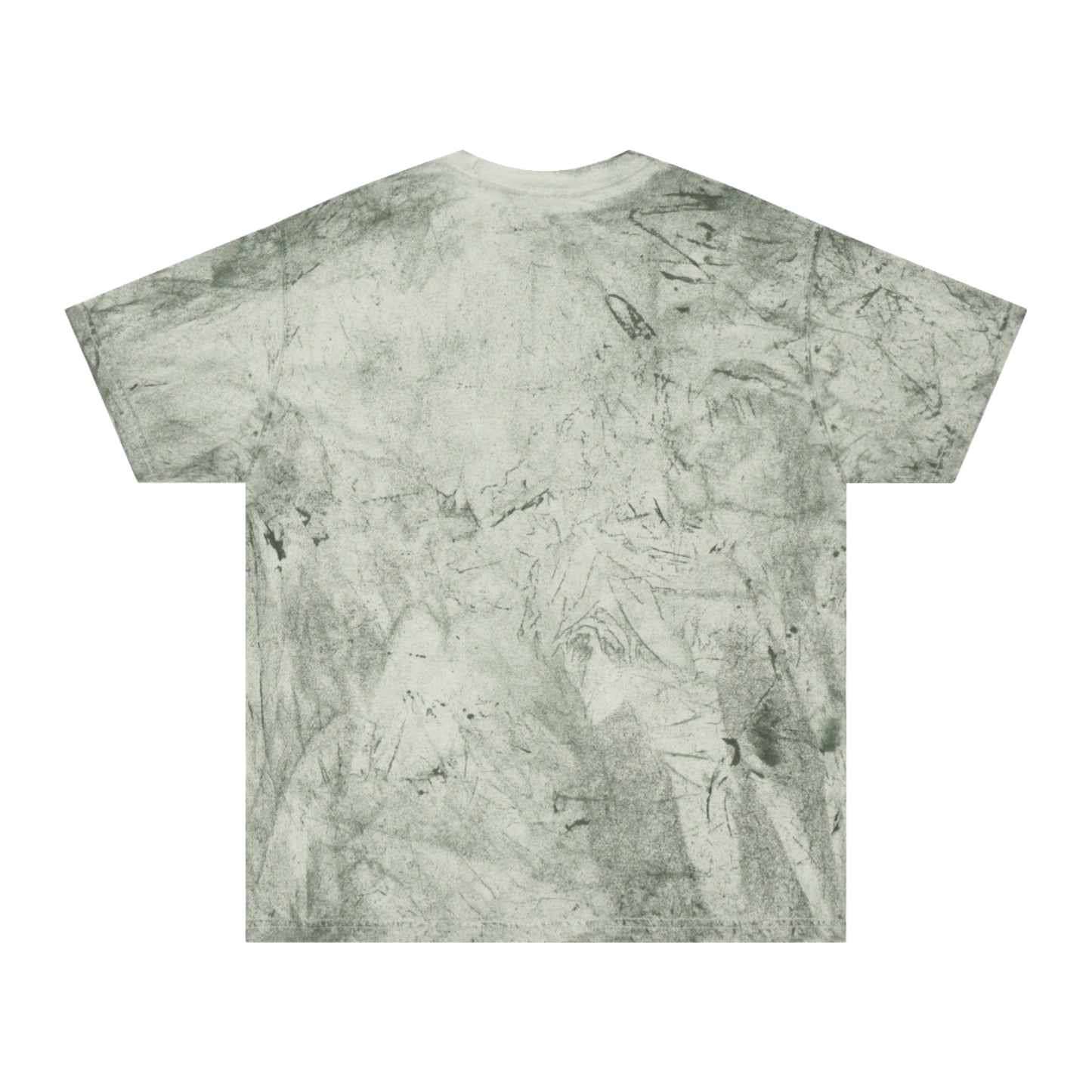 Irish Water Spaniel Unisex Color Blast T-Shirt