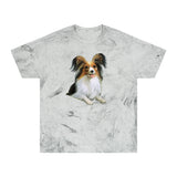 Papillon Unisex Relaxed Fit Color Blast T-Shirt